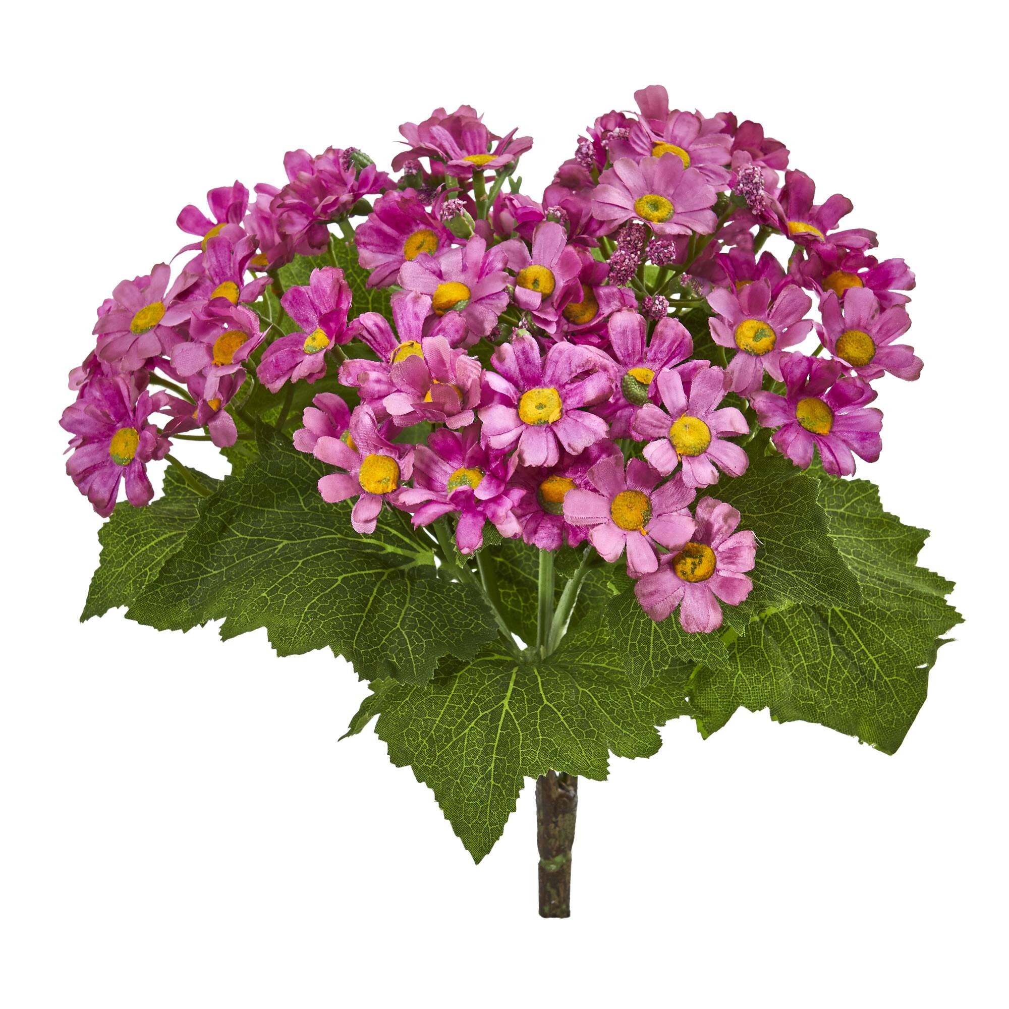 Purple Daisy Flower Bush, 6ct.